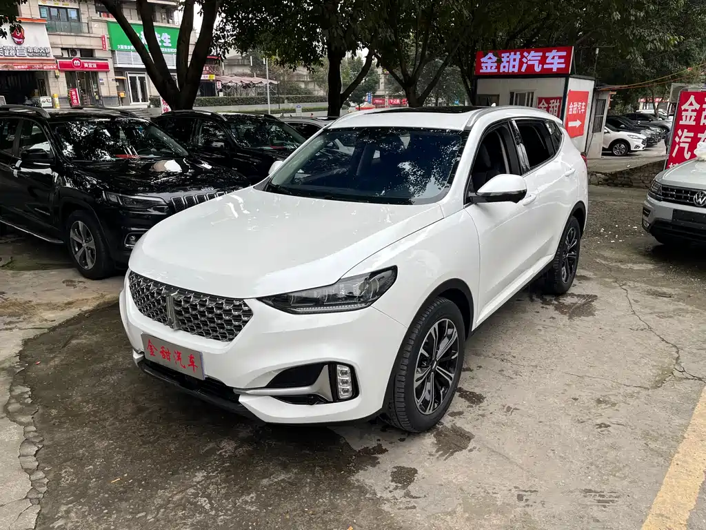 WEI PAI WEI BRAND VV6