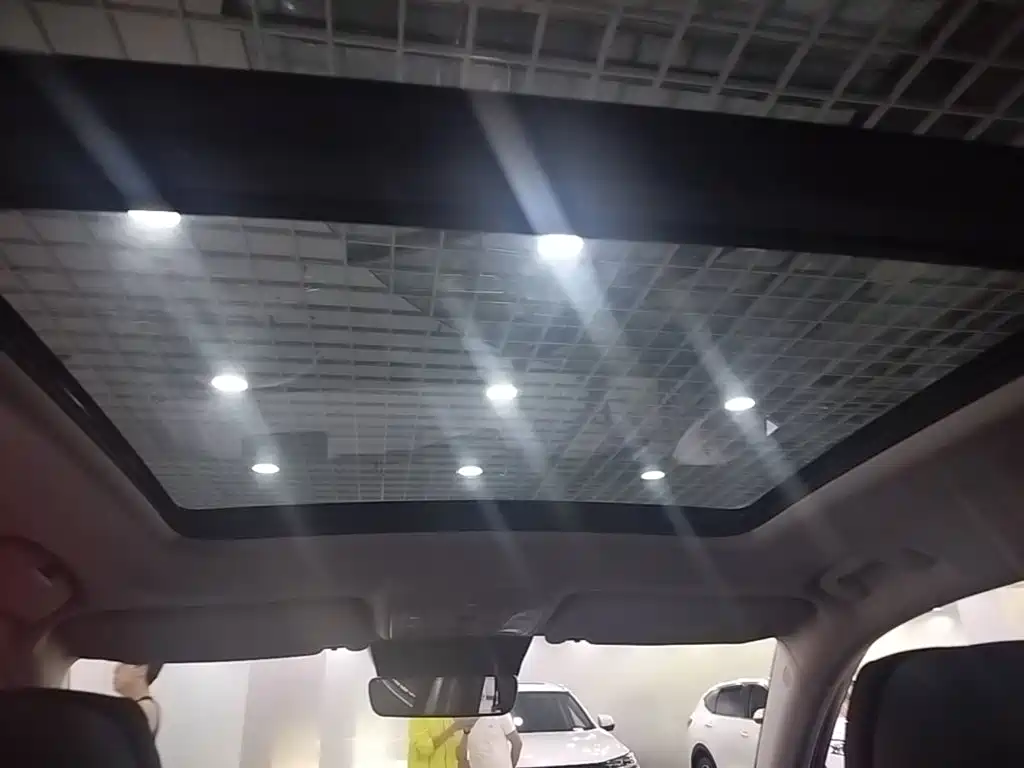 Hongqi Hongqi HS5 — миниатюра 18