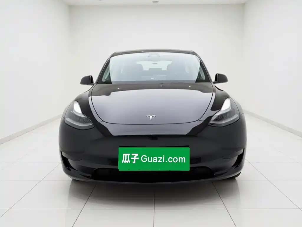 Tesla Model Y — миниатюра 2