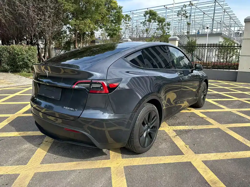 Tesla Model Y — миниатюра 6