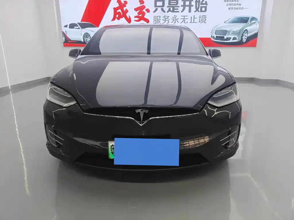 Tesla Model X — миниатюра 2