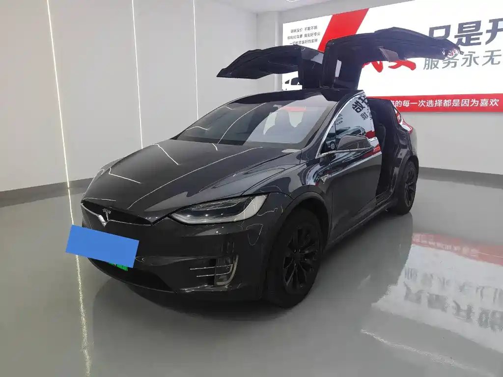 Tesla Model X — миниатюра 7