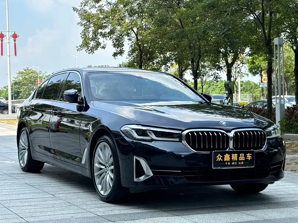 BMW 5 Series — миниатюра 3