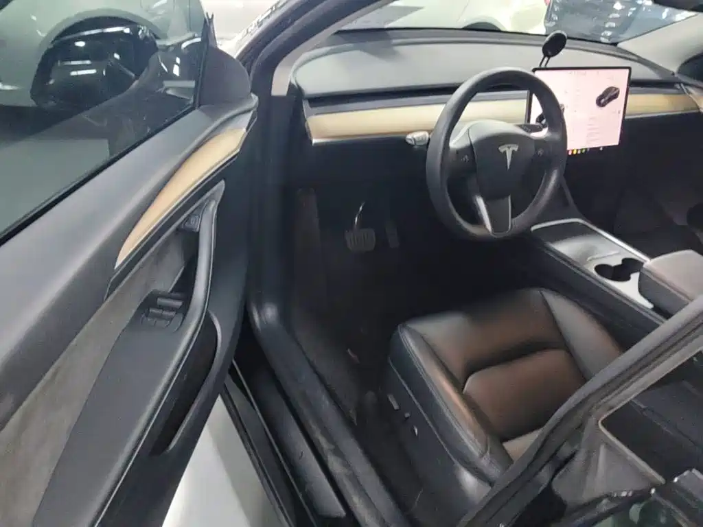 Tesla Model Y — миниатюра 16
