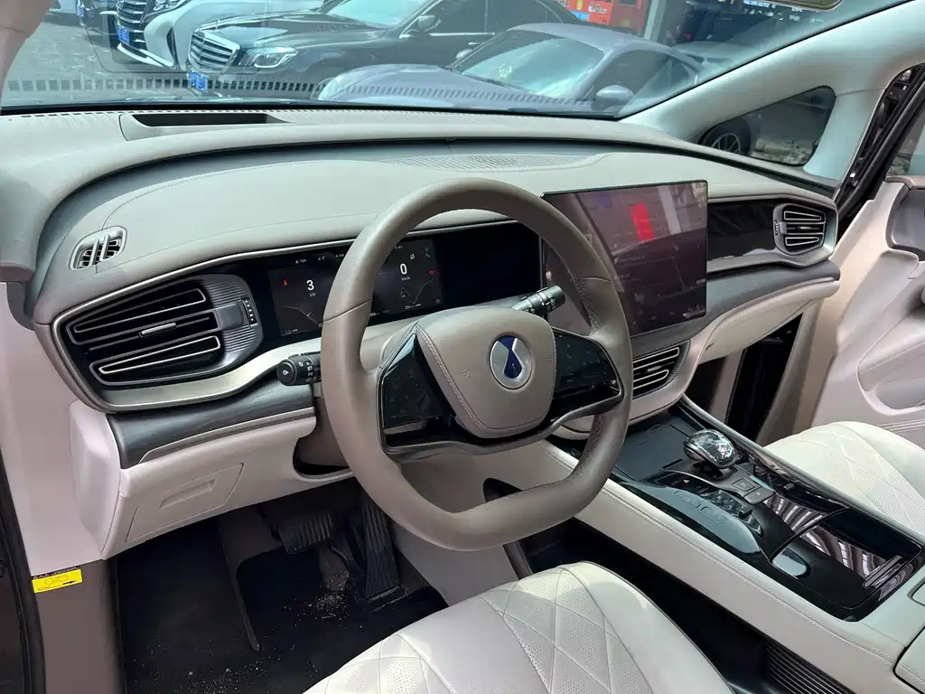 Denza Denza D9 — миниатюра 8