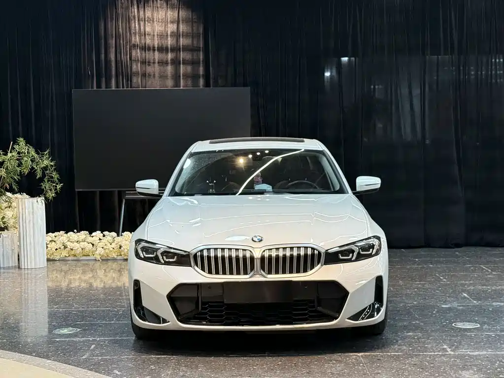 BMW 3 Series — миниатюра 2