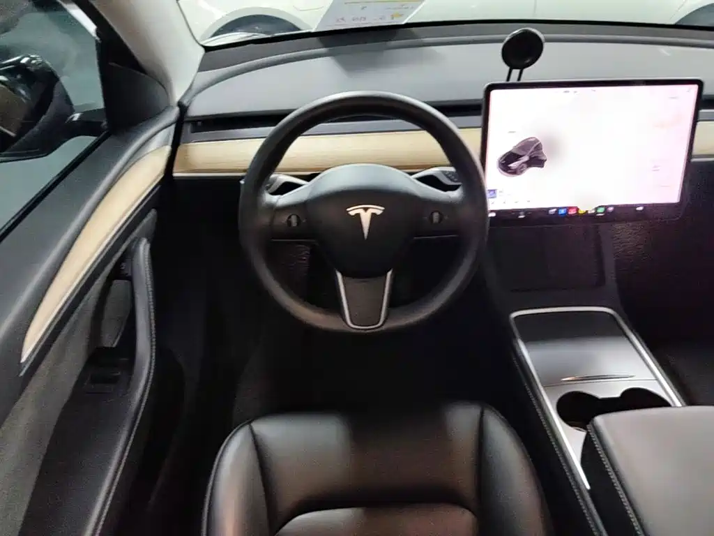 Tesla Model Y — миниатюра 11