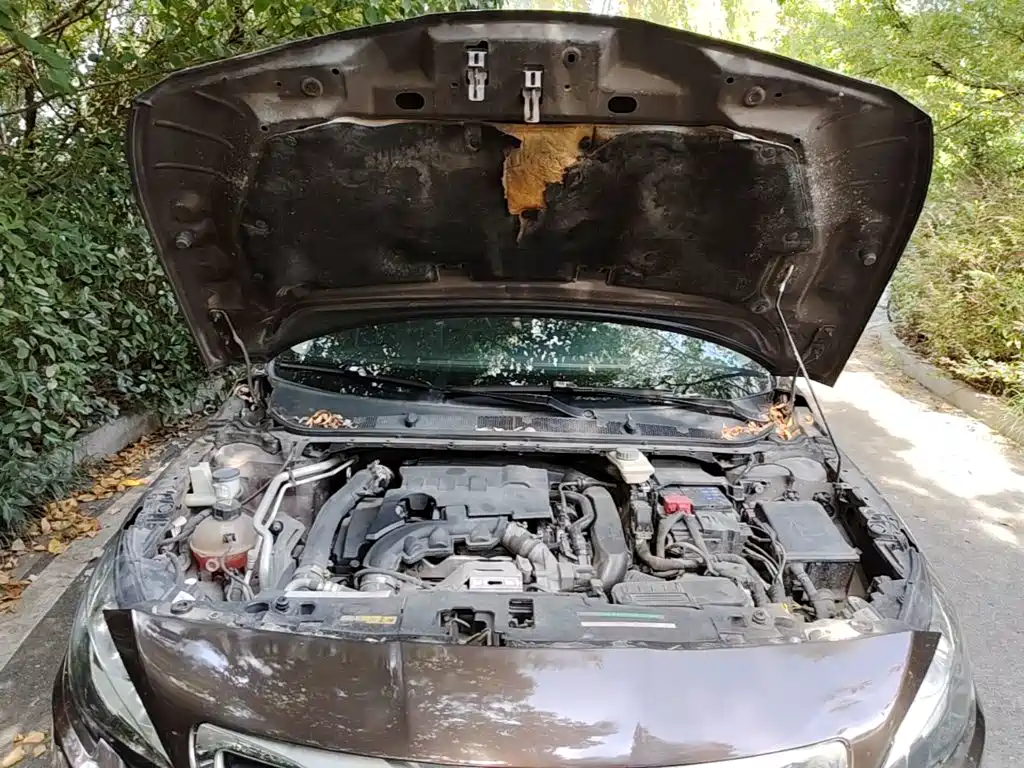 Peugeot 408 — миниатюра 20