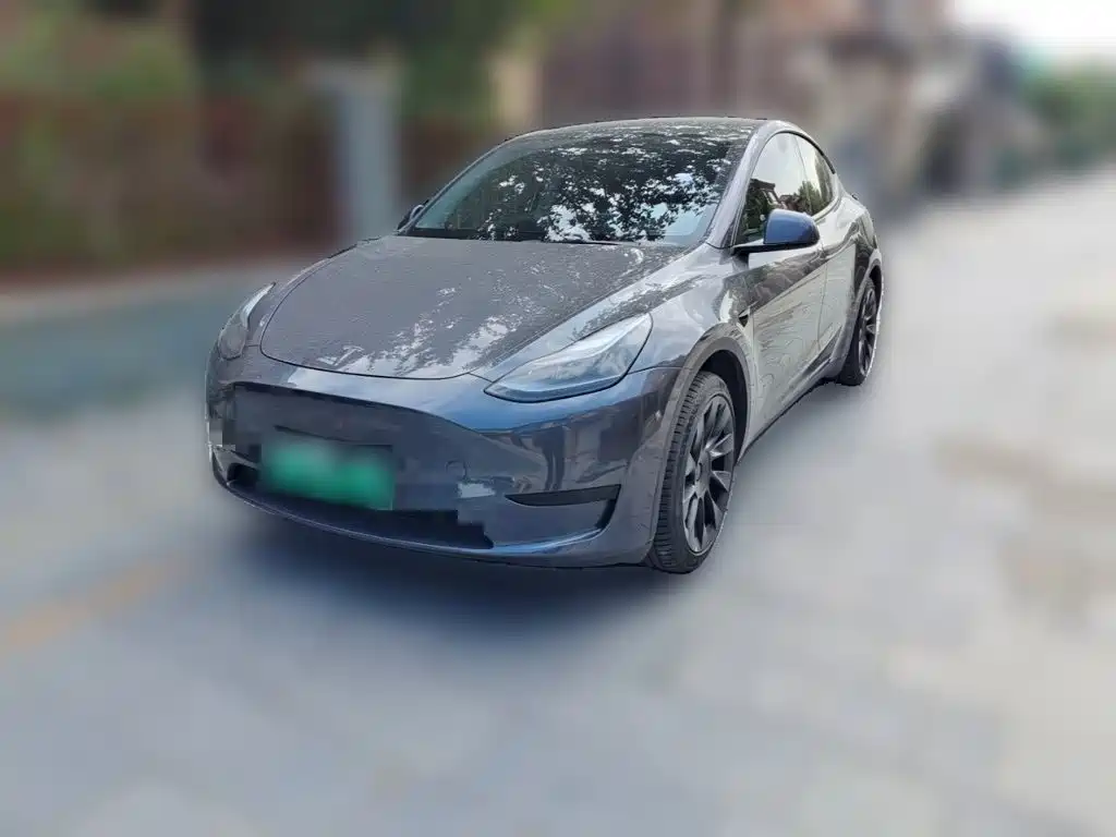 Tesla Model Y — миниатюра 2