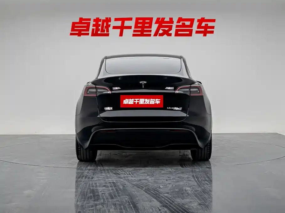 Tesla Model Y — миниатюра 5