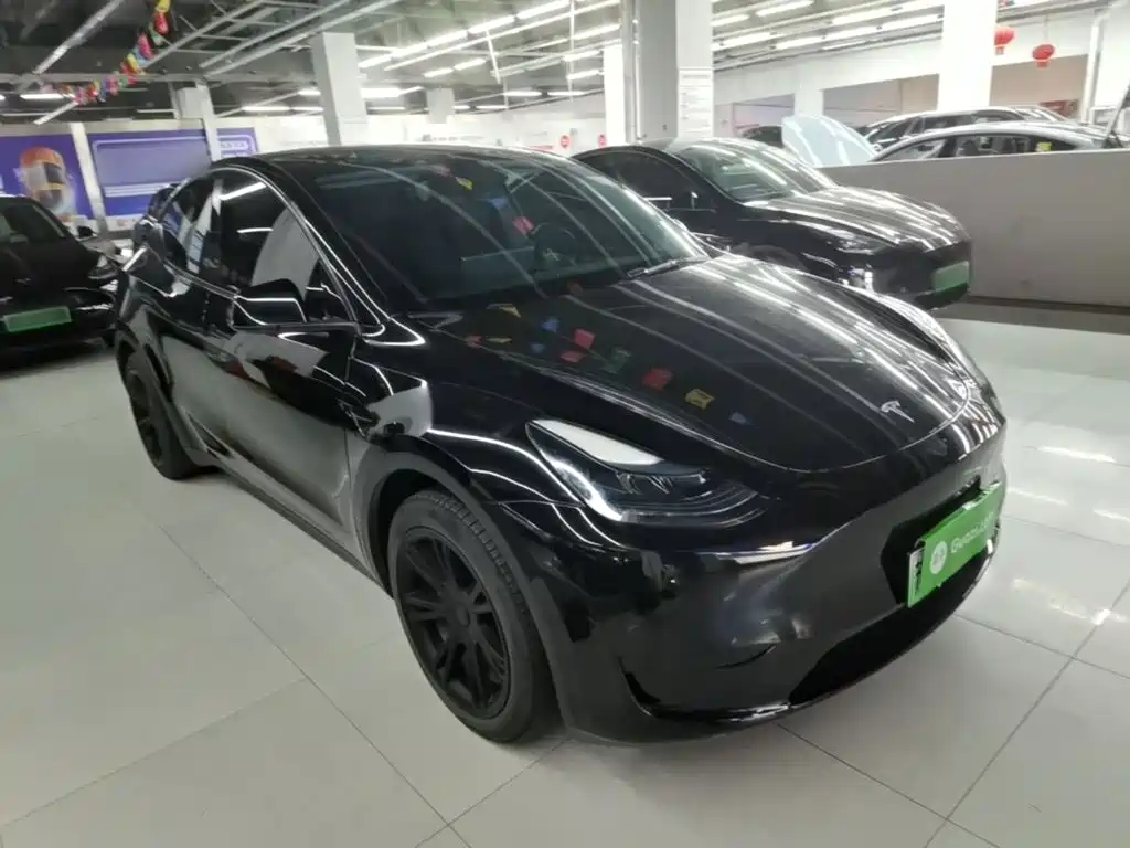 Tesla Model Y — миниатюра 4