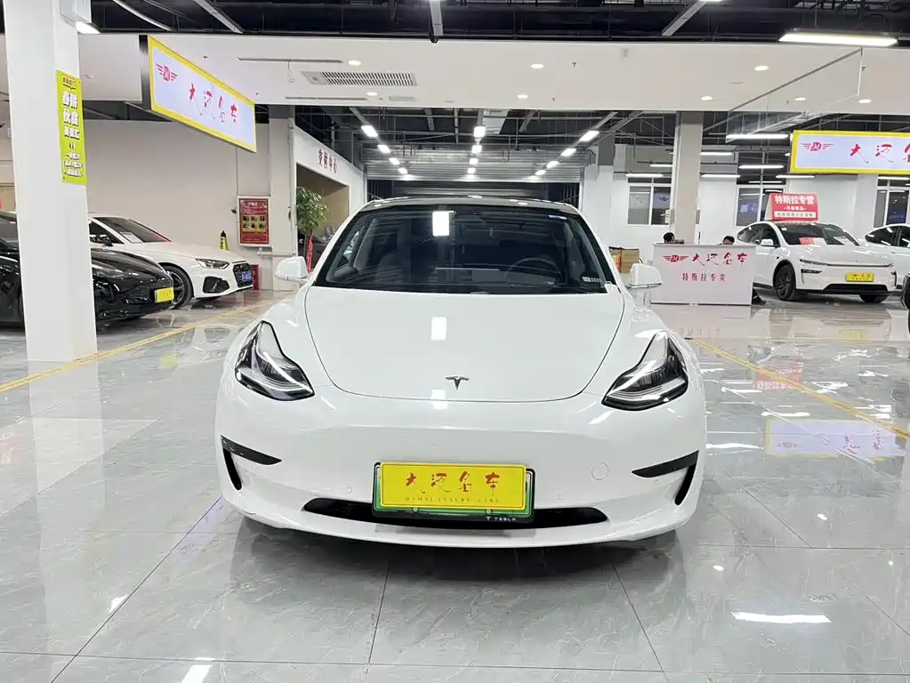 Tesla Model 3 - фото 4