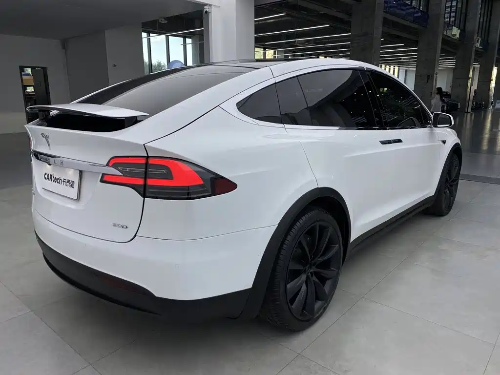 Tesla Model X — миниатюра 4
