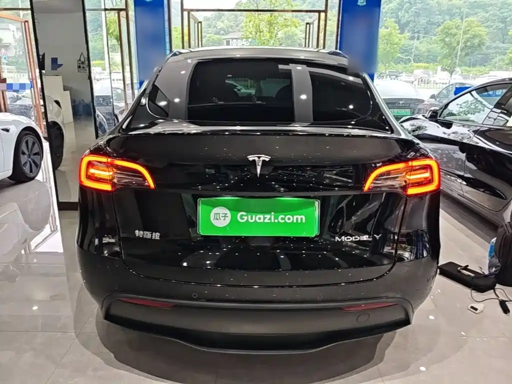 Tesla Model Y — миниатюра 6