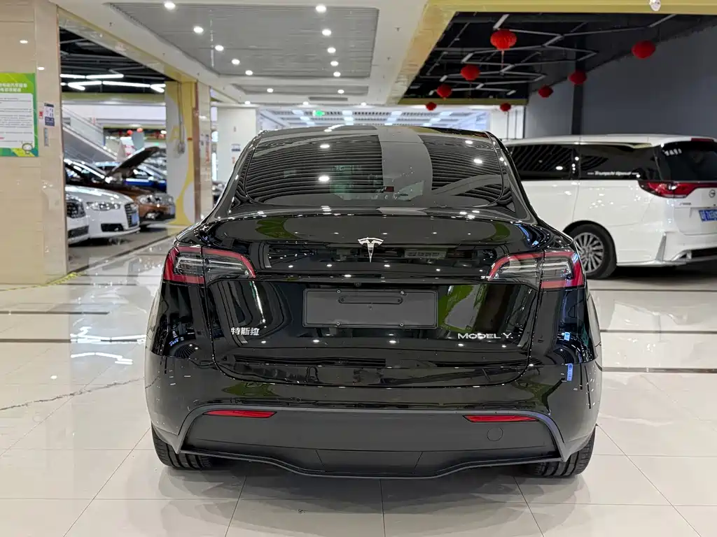 Tesla Model Y — миниатюра 8