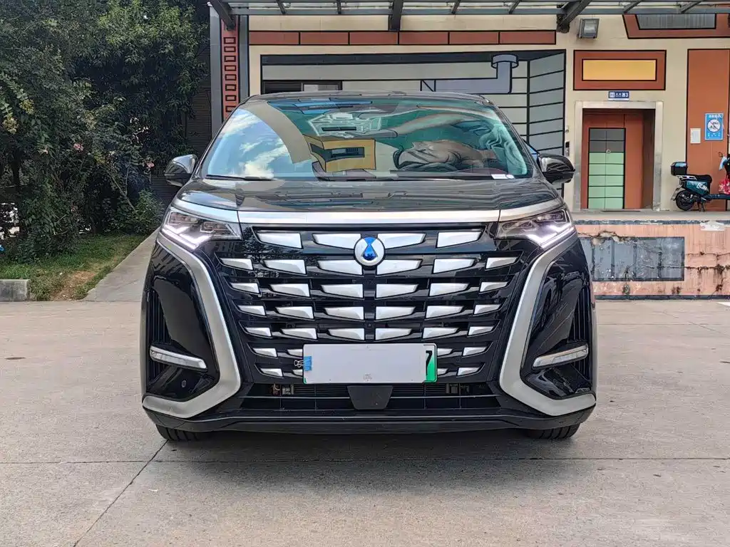 Denza Denza D9 — миниатюра 2