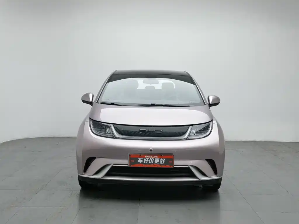 BYD Dolphin — миниатюра 3