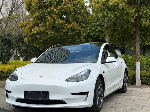 TESLA MODEL 3 2021
