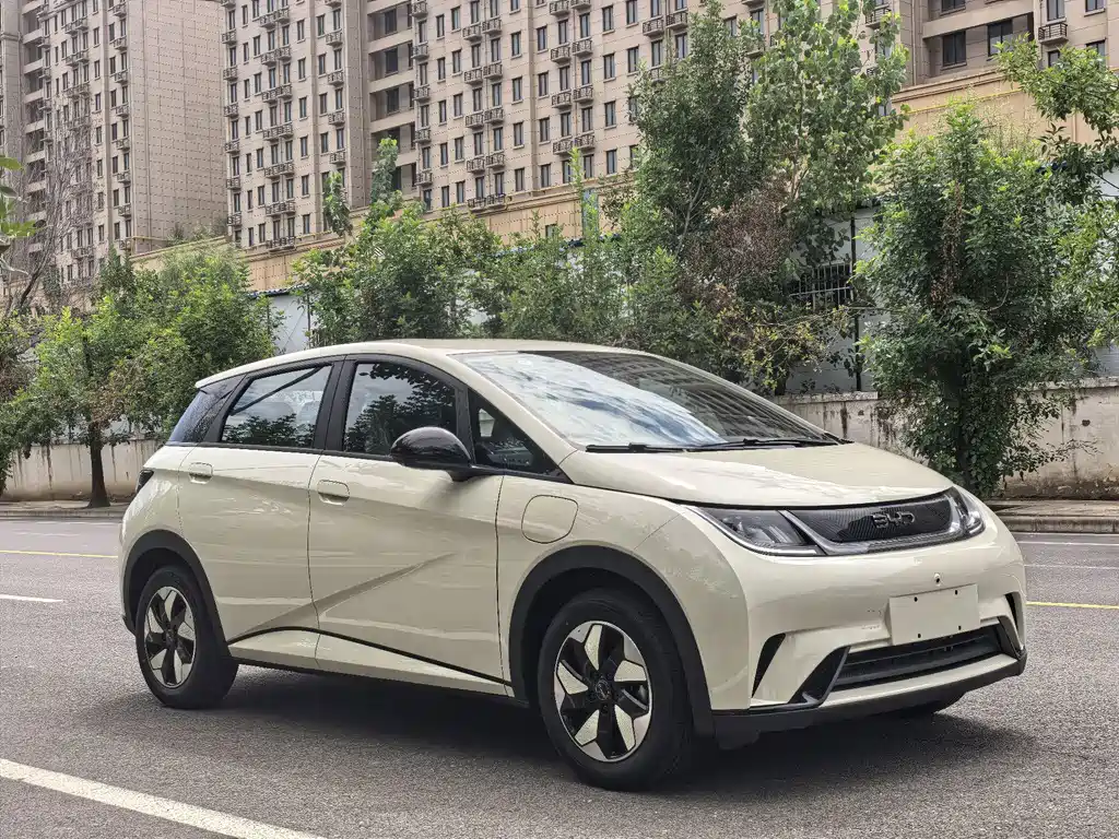 BYD Dolphin — миниатюра 3