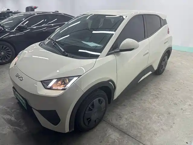 2025 BYD Seagull