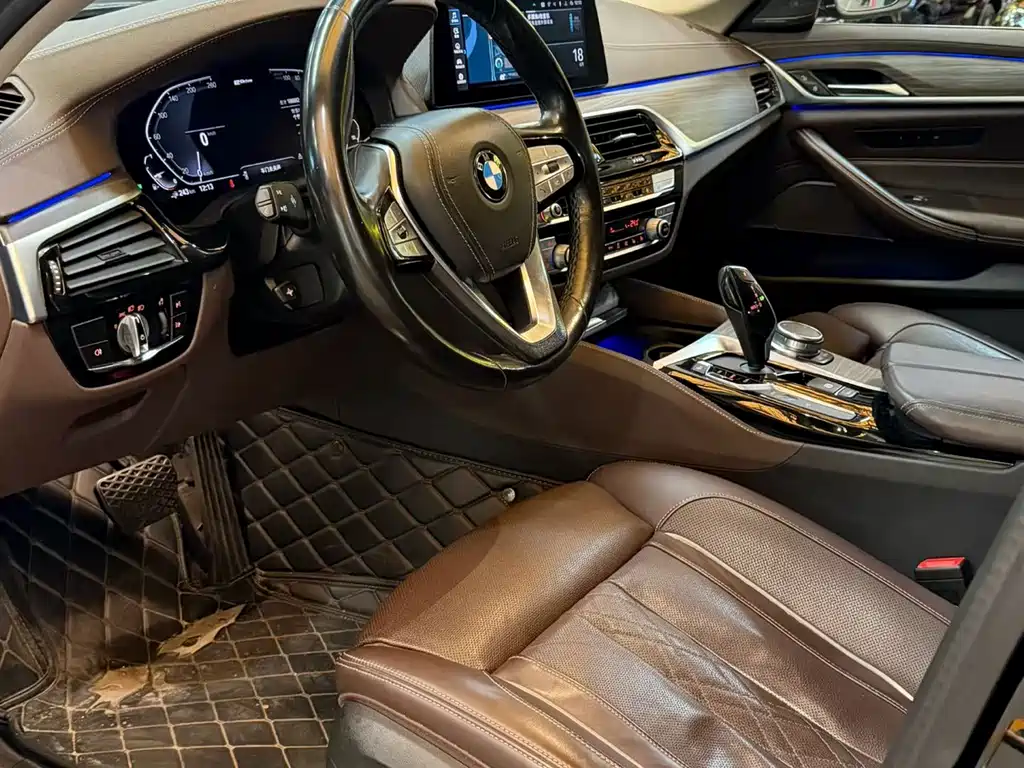 BMW 5 Series 5 2020 530Le