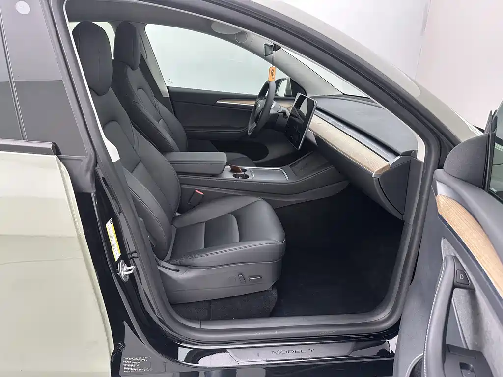 Tesla Model Y — миниатюра 10