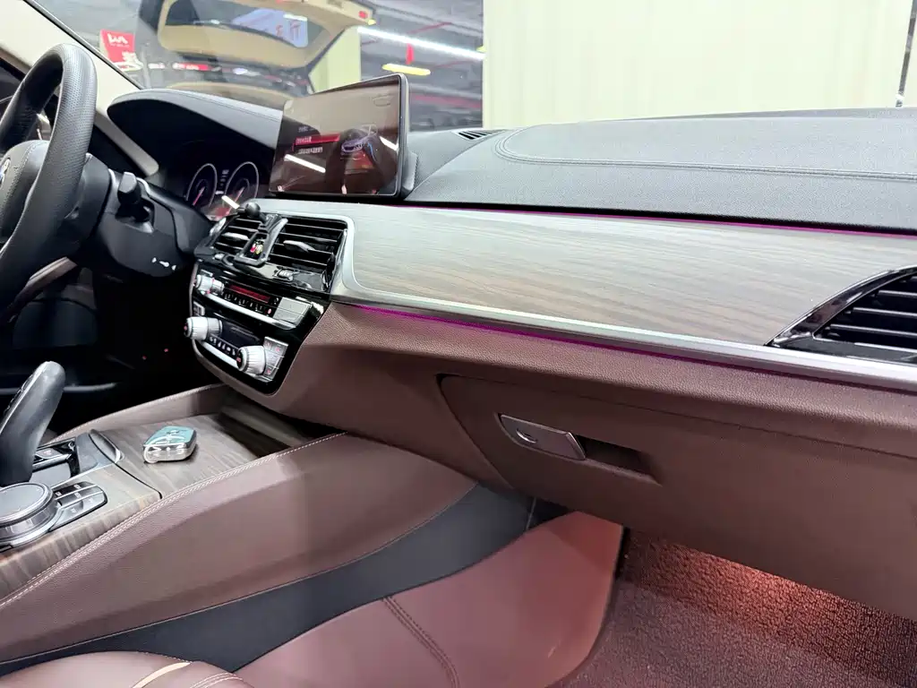 BMW 5 SERIES NEW ENERGY