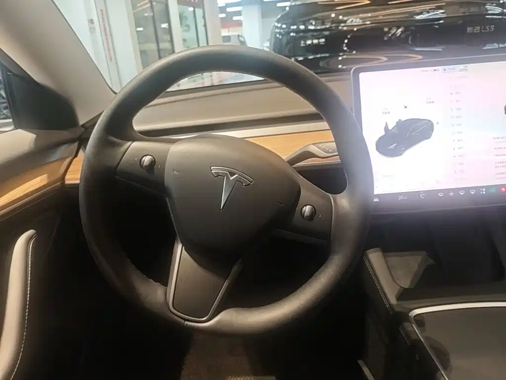 Tesla Model 3 — миниатюра 11