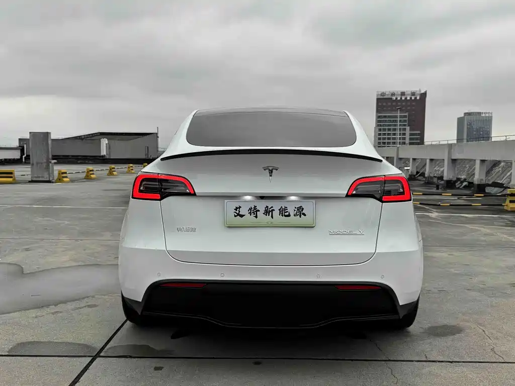 Tesla Model Y — миниатюра 5