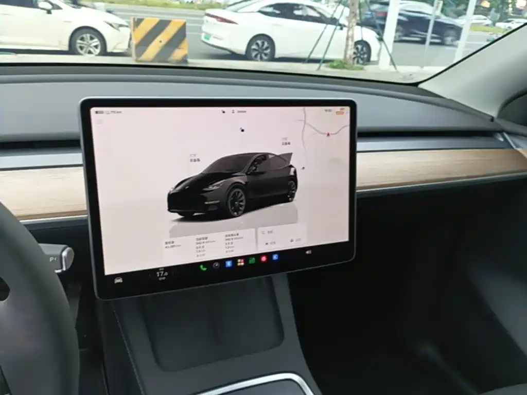 Tesla Model Y — миниатюра 13