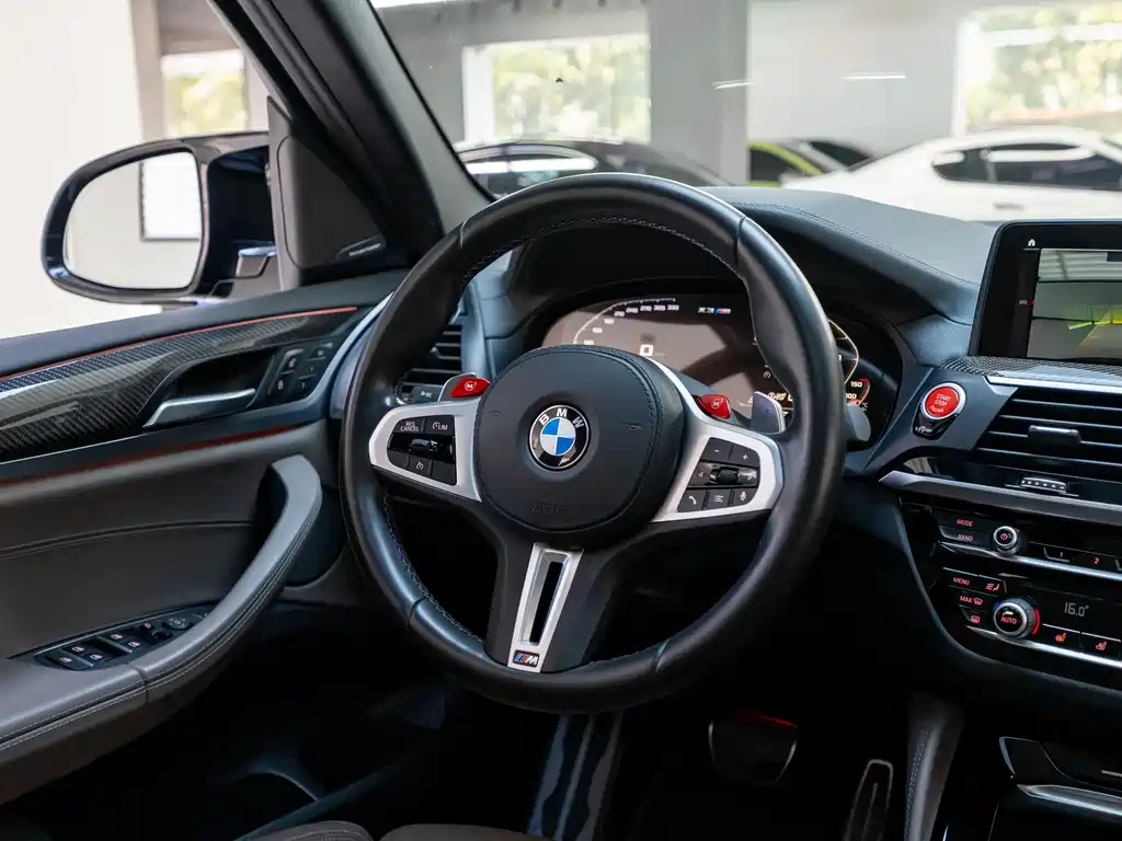BMW X3 M X3 M Thunder Edition, фото 9