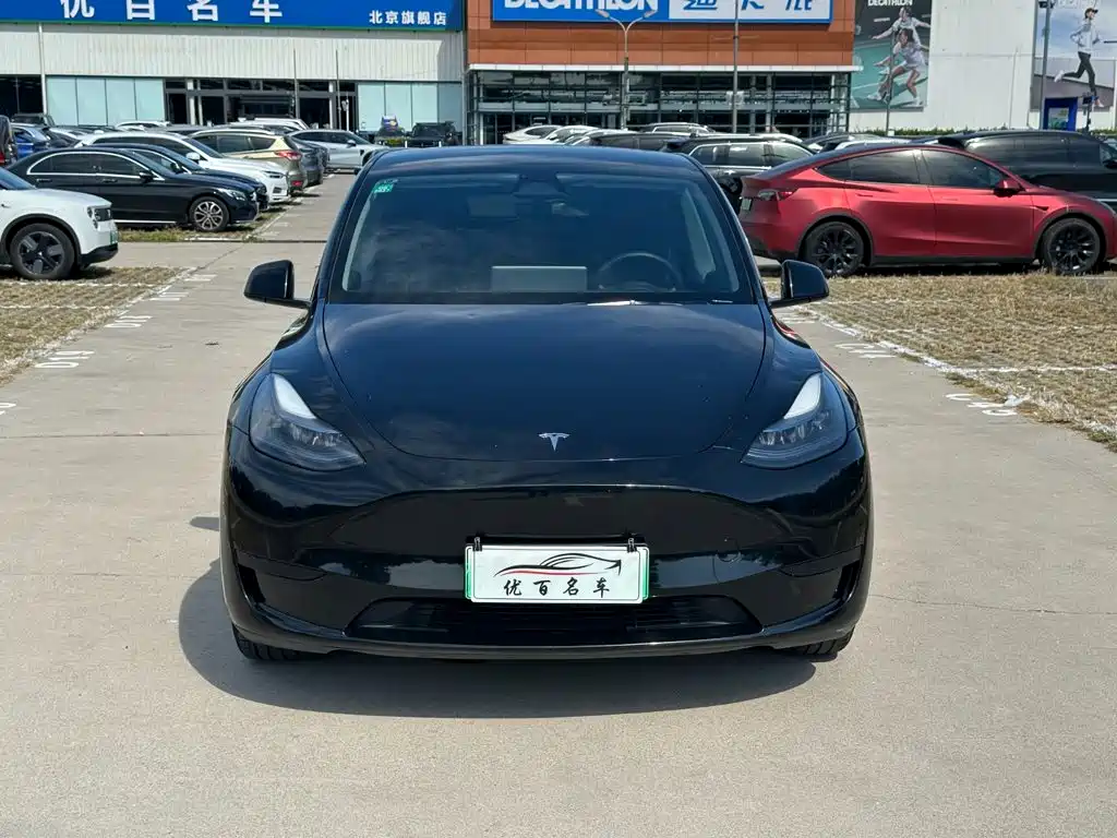 Tesla Model Y — миниатюра 2