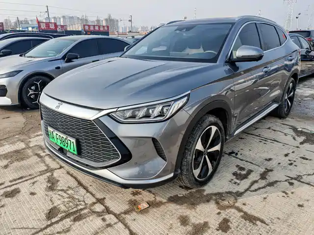 BYD SONGJIANG NEW ENERGY 2021