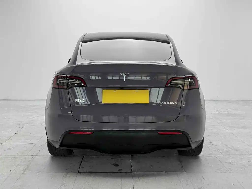 Tesla Model Y — миниатюра 3