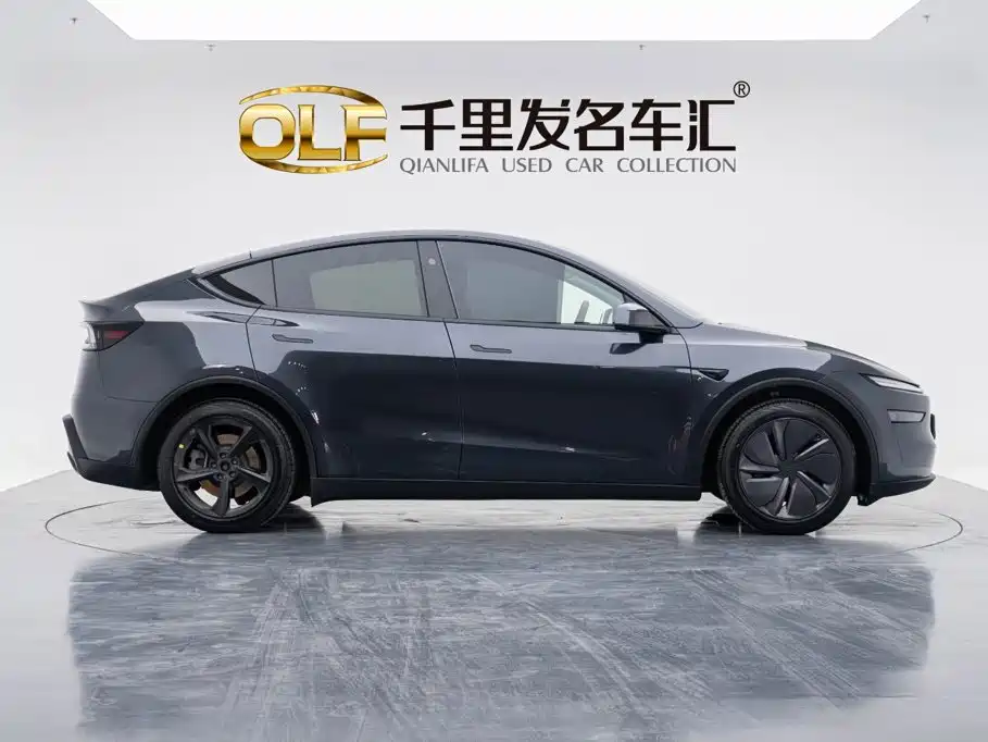Tesla Model Y — миниатюра 4