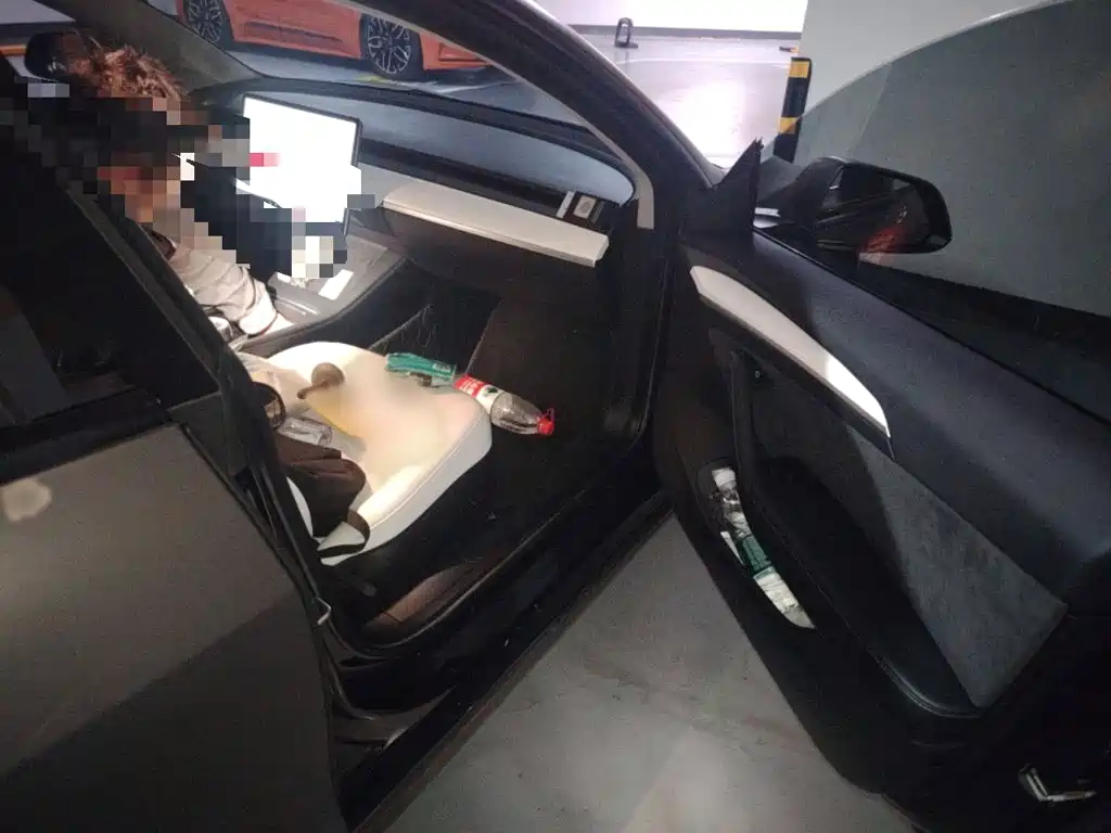 Tesla Model 3 — миниатюра 21