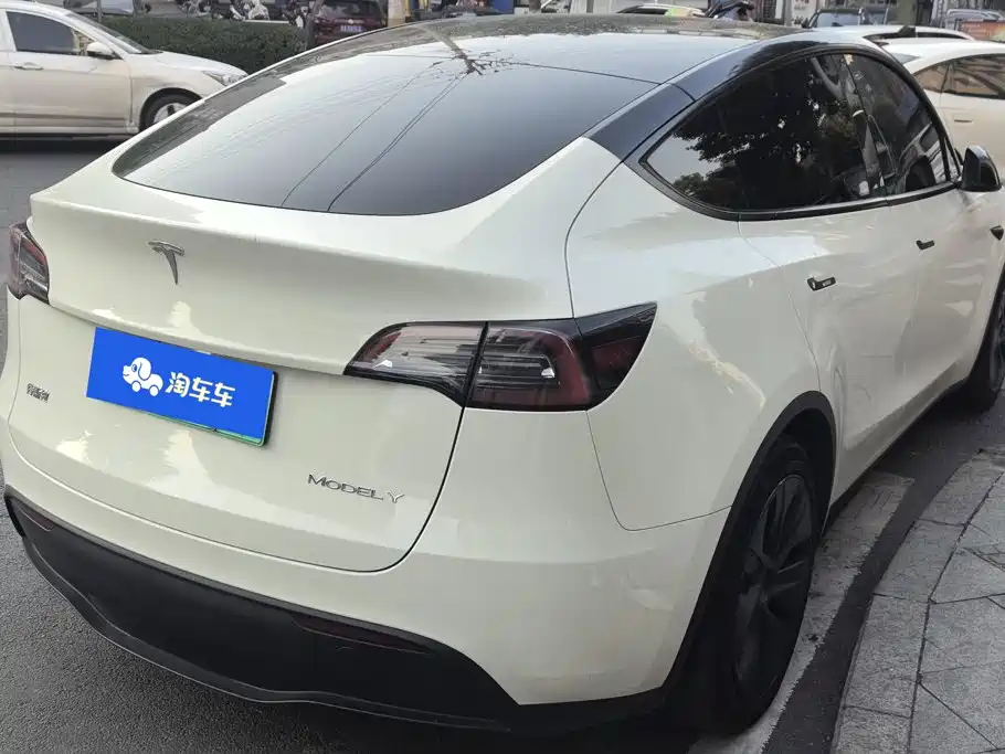 Tesla Model Y — миниатюра 3