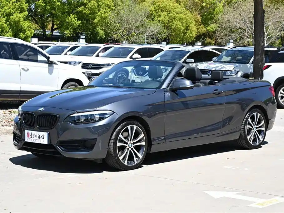 BMW 2 Series (Import) 2020