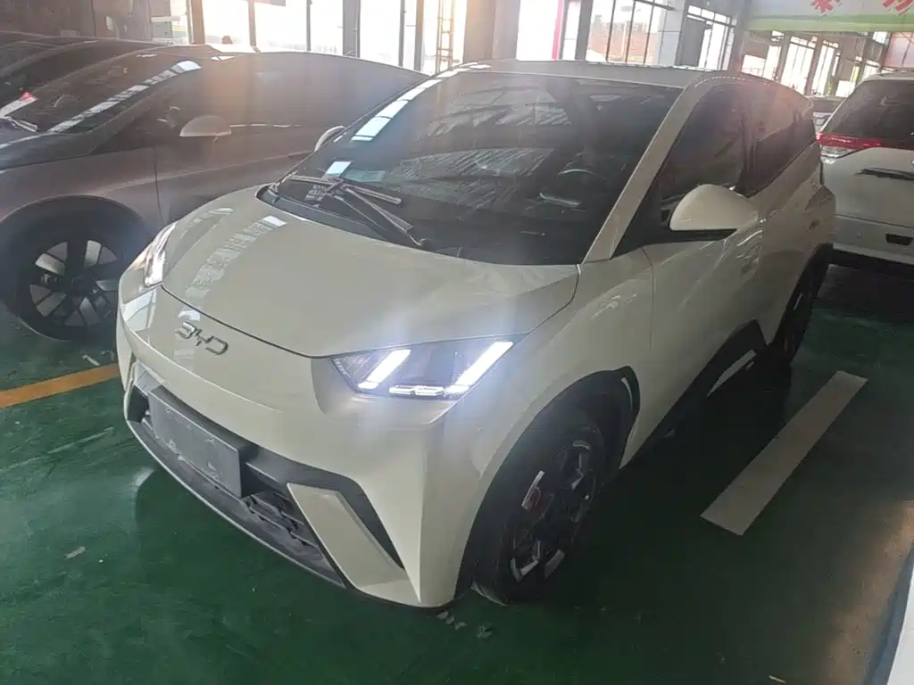 BYD Seagull