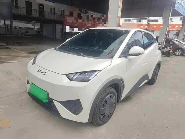 2026 BYD Seagull