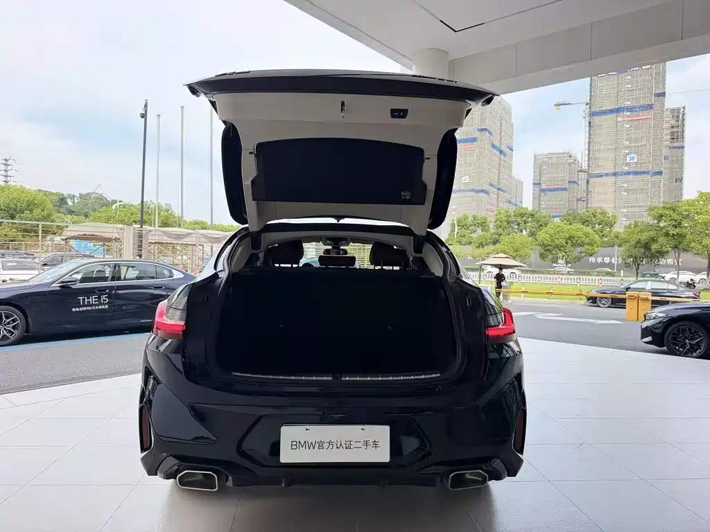 BMW X4 — миниатюра 7