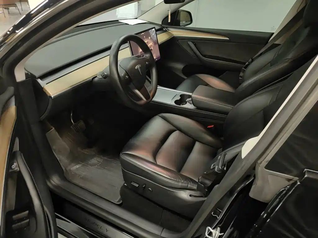 Tesla Model Y — миниатюра 15