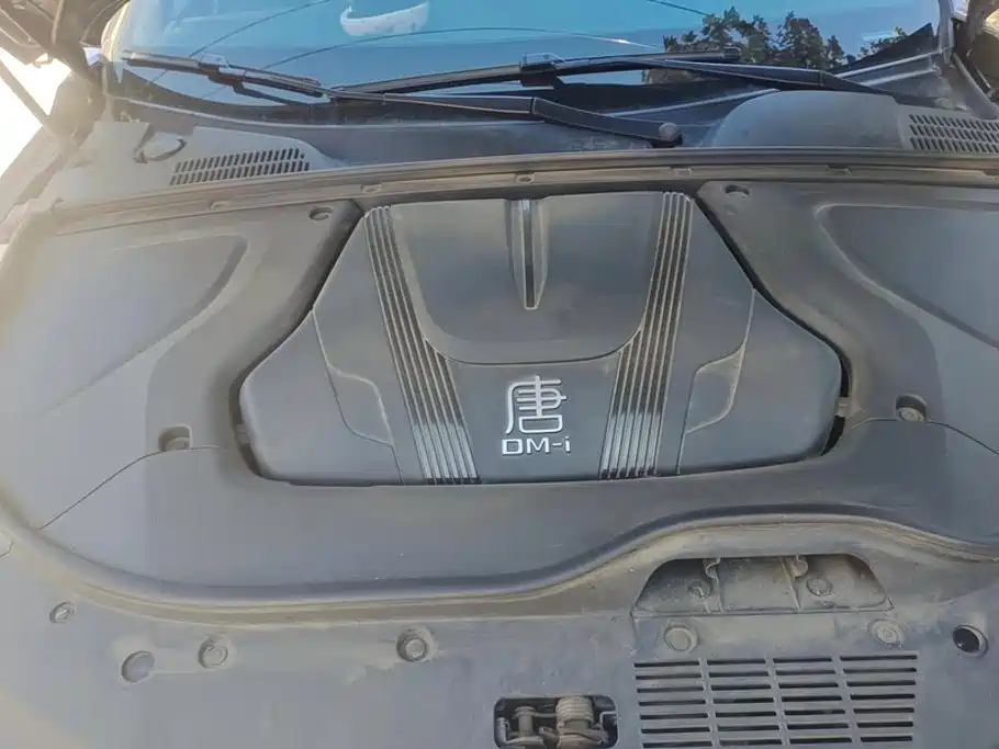 BYD Tang New Energy — миниатюра 10