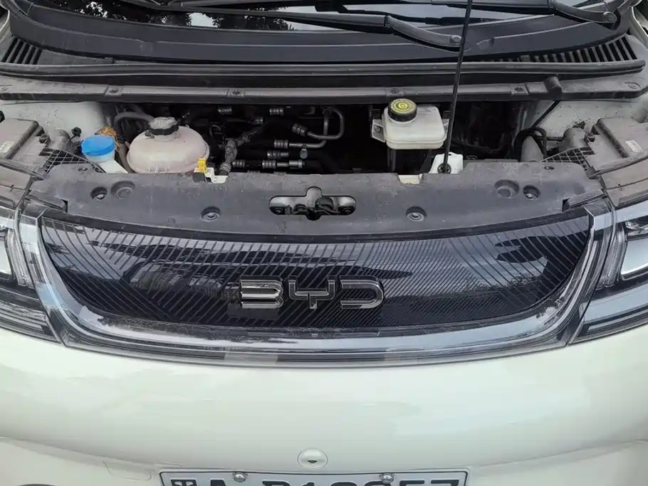 BYD Dolphin — миниатюра 10