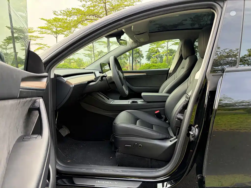 Tesla Model Y — миниатюра 4