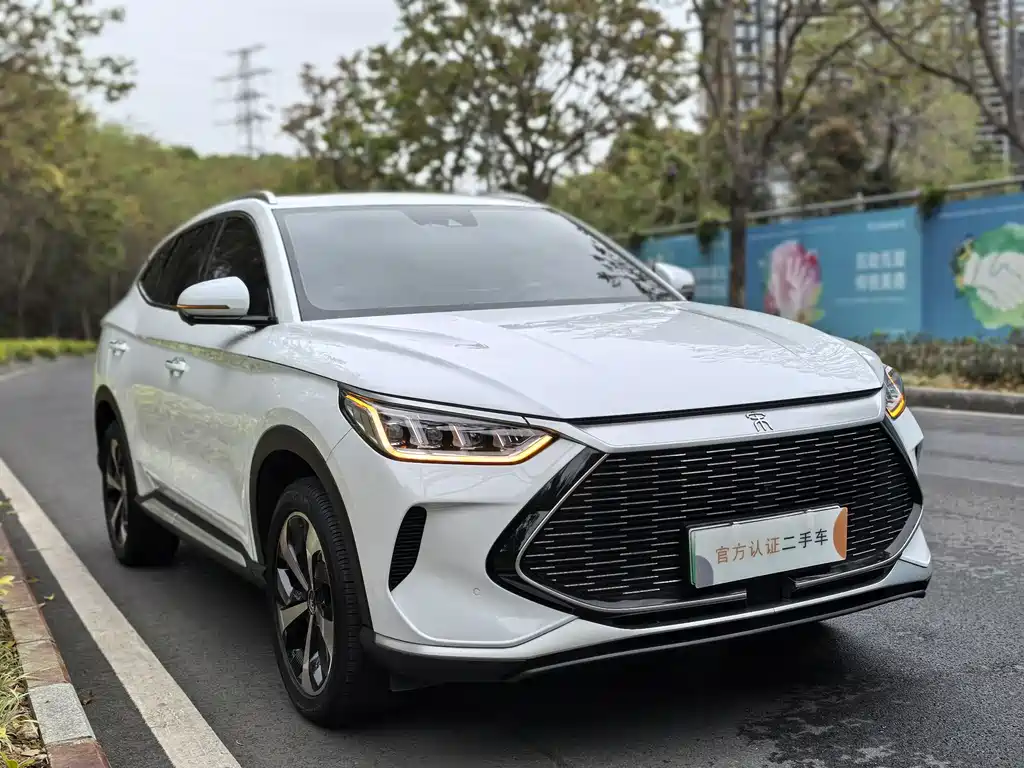 BYD SONGJIANG NEW ENERGY