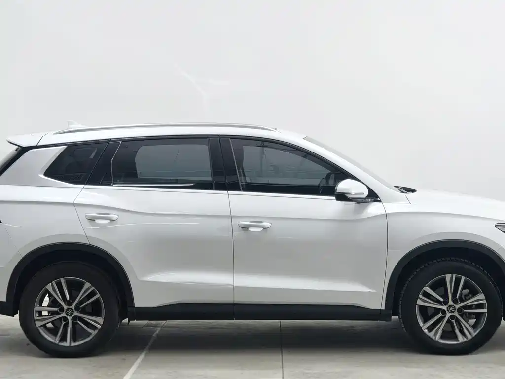 BYD Pro — миниатюра 8