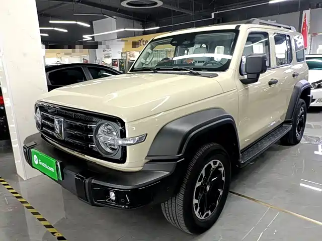 2025 TANK 300