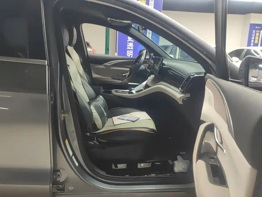 BYD Pro New Energy — миниатюра 8