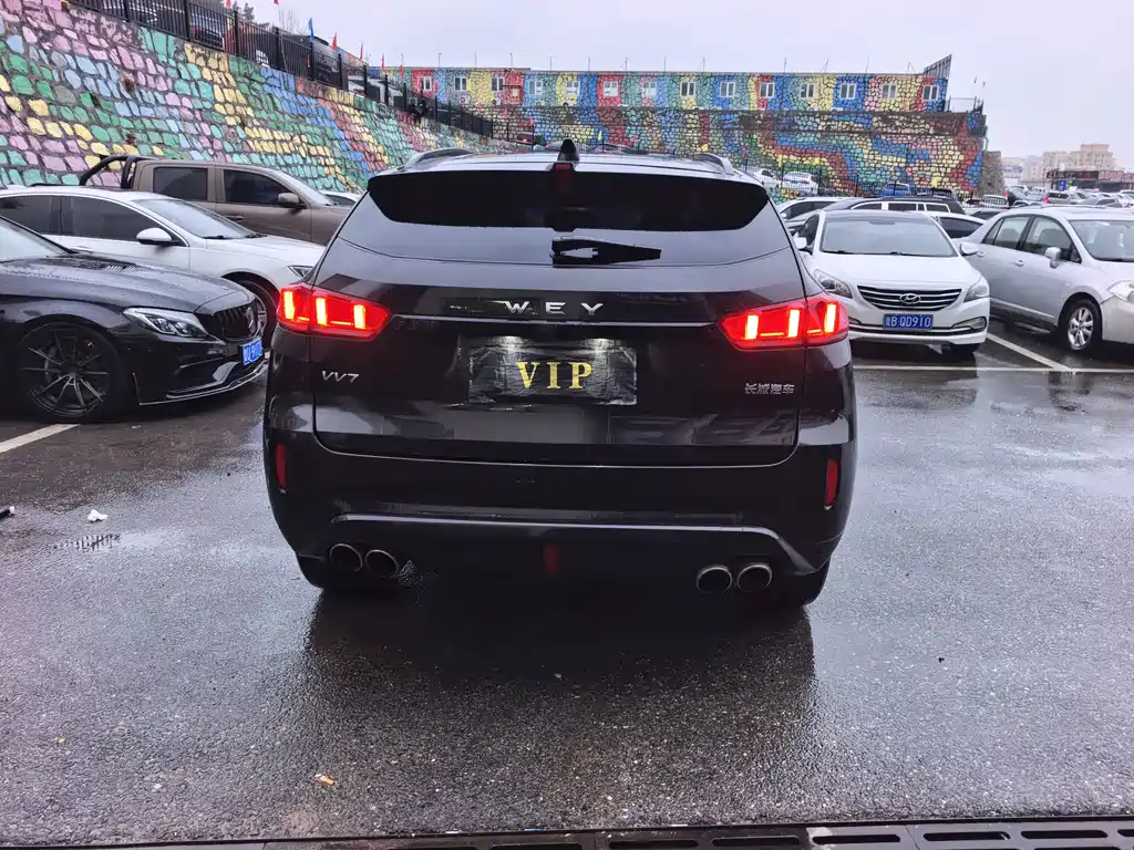 WEI PAI WEI BRAND VV7